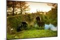 Photographic Print