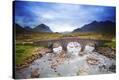 Stretched Canvas Print