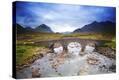 Stretched Canvas Print