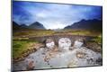 Photographic Print