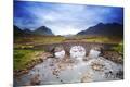 Photographic Print