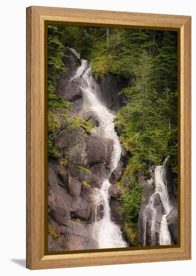 Kenai Peninsula. Two waterfalls surrounded by pine trees-Janet Muir-Framed Premier Image Canvas