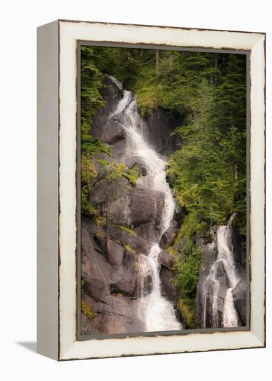 Kenai Peninsula. Two waterfalls surrounded by pine trees-Janet Muir-Framed Premier Image Canvas