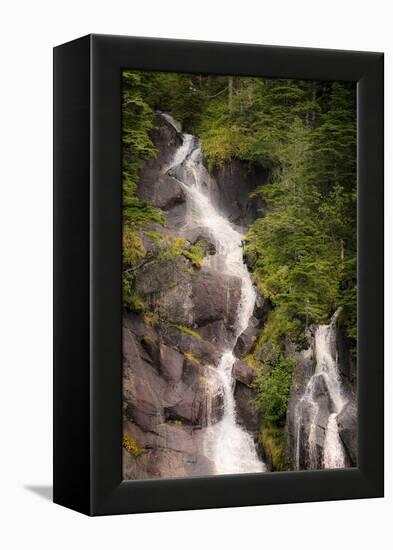 Kenai Peninsula. Two waterfalls surrounded by pine trees-Janet Muir-Framed Premier Image Canvas