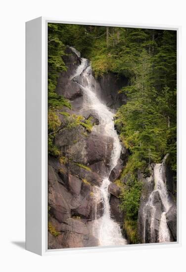 Kenai Peninsula. Two waterfalls surrounded by pine trees-Janet Muir-Framed Premier Image Canvas