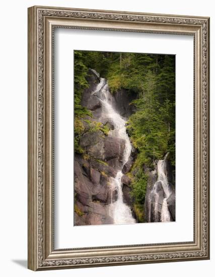 Kenai Peninsula. Two waterfalls surrounded by pine trees-Janet Muir-Framed Photographic Print