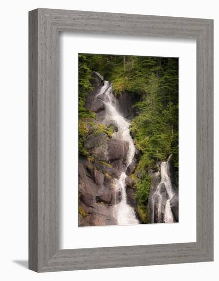 Kenai Peninsula. Two waterfalls surrounded by pine trees-Janet Muir-Framed Photographic Print