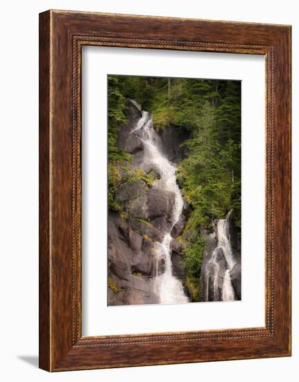 Kenai Peninsula. Two waterfalls surrounded by pine trees-Janet Muir-Framed Photographic Print