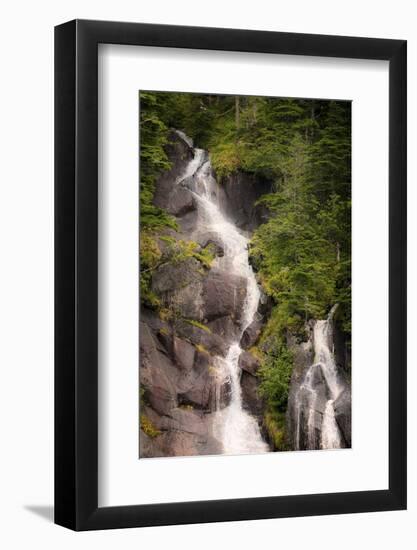Kenai Peninsula. Two waterfalls surrounded by pine trees-Janet Muir-Framed Photographic Print