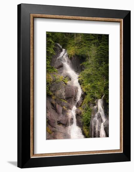 Kenai Peninsula. Two waterfalls surrounded by pine trees-Janet Muir-Framed Photographic Print