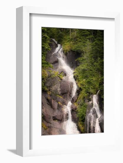 Kenai Peninsula. Two waterfalls surrounded by pine trees-Janet Muir-Framed Photographic Print