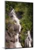 Kenai Peninsula. Two waterfalls surrounded by pine trees-Janet Muir-Mounted Photographic Print