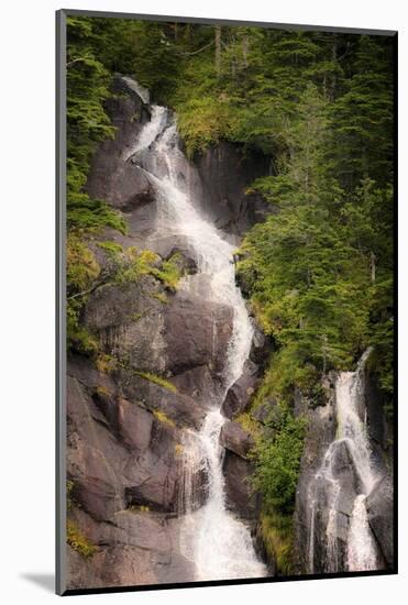 Kenai Peninsula. Two waterfalls surrounded by pine trees-Janet Muir-Mounted Photographic Print