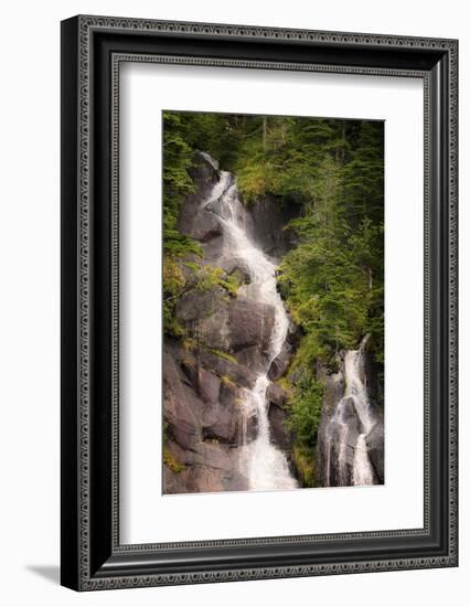 Kenai Peninsula. Two waterfalls surrounded by pine trees-Janet Muir-Framed Photographic Print