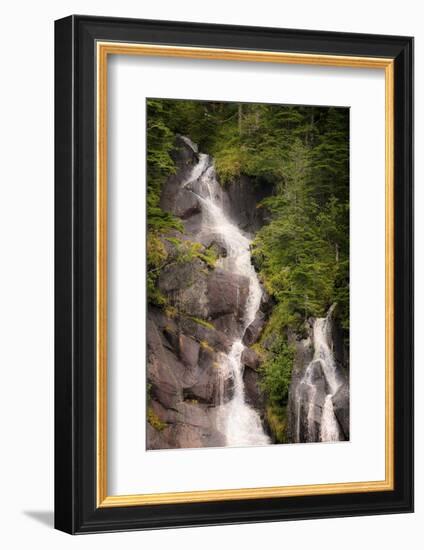 Kenai Peninsula. Two waterfalls surrounded by pine trees-Janet Muir-Framed Photographic Print