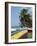 Kendal, Tobago, West Indies, Caribbean, Central America-Harding Robert-Framed Photographic Print