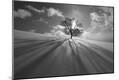Photographic Print