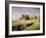 Kenilworth Castle, Warwickshire, England, UK, Europe-David Hughes-Framed Photographic Print