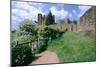 Kenilworth Castle, Warwickshire-Peter Thompson-Mounted Photographic Print