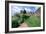 Kenilworth Castle, Warwickshire-Peter Thompson-Framed Photographic Print