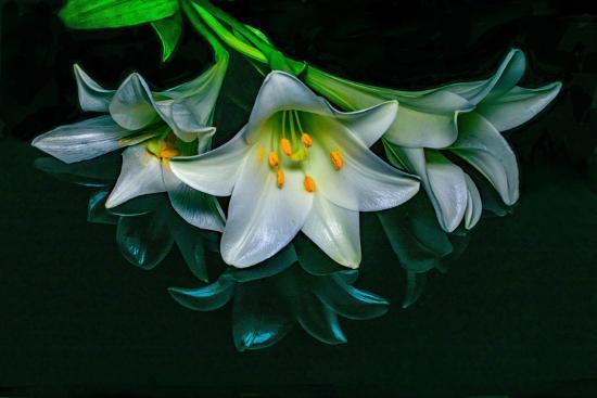 Photographic Print, , large