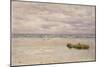 Kennack Sands, Cornwall, at Low Tide, 1877 (Oil on Board, Mounted as a Drawing)-John Brett-Mounted Giclee Print