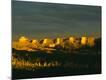 Photographic Print