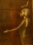 Goddess Selket, Tutankhamun Gold Canopic Shrine, Valley of the Kings, Egyptian Museum, Cairo, Egypt-Kenneth Garrett-Photographic Print