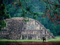 Royal Tomb, Maya, Copan, Honduras-Kenneth Garrett-Photographic Print