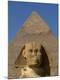 Premium Photographic Print