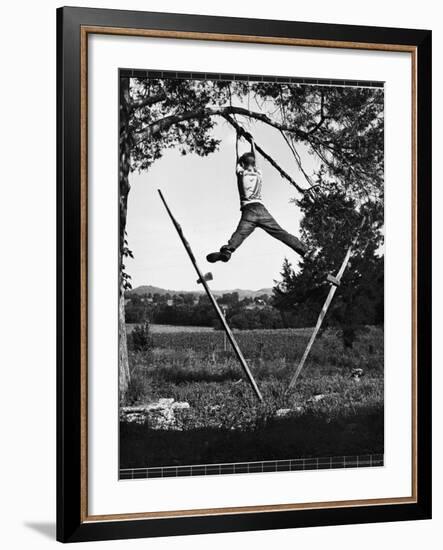 Kenneth Merriman Swinging on Tree Limb After Kicking Away Stilts-Robert W^ Kelley-Framed Photographic Print