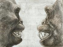 Australopithecus Afarensis Skull-Kennis and Kennis-Premier Image Canvas