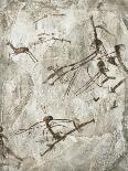 Prehistoric Cave Painting-Kennis and Kennis-Photographic Print