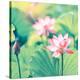 Stretched Canvas Print