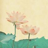 Spring Plum Blossom Blossom on Old Antique Vintage Paper Background-kenny001-Art Print