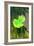 Kensington Gardens Series: Leaf Cascade, 2007-Izabella Godlewska de Aranda-Framed Giclee Print