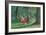 Kensington Gardens-Therese Lessore-Framed Giclee Print