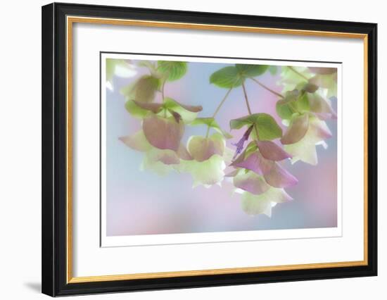 Kent Beauty-Donald Paulson-Framed Giclee Print