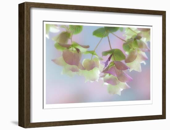 Kent Beauty-Donald Paulson-Framed Giclee Print