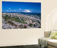 Mt Adams from Windy Ridge, Mt St Helens Volcanic National Monument, Washington, USA-Kent Foster-Giant Art Print
