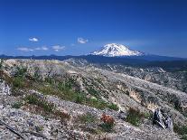 Mt Adams from Windy Ridge, Mt St Helens Volcanic National Monument, Washington, USA-Kent Foster-Photographic Print