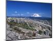 Photographic Print