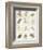 Kent Garden Fragments-Annabel Hewitt-Framed Art Print