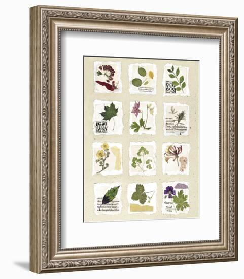 Kent Garden Fragments-Annabel Hewitt-Framed Art Print