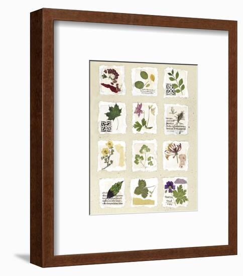 Kent Garden Fragments-Annabel Hewitt-Framed Art Print