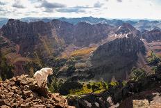 Mountain Goat Stands at the Edge of Bouldery Cliff at the Maroon Bells in Colorado-Kent Harvey-Photographic Print