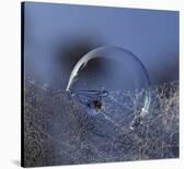 Blue Bubble Morning-Kent Mathiesen-Stretched Canvas