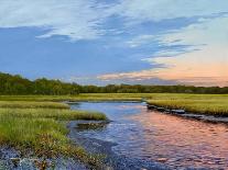 Amelia Island Dawn-Kent Sullivan-Framed Art Print