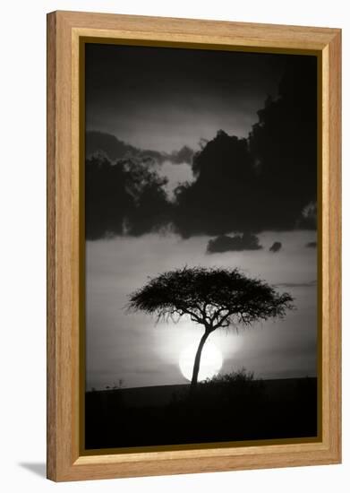 Kenta Sunrise BW-Susann Parker-Framed Premier Image Canvas