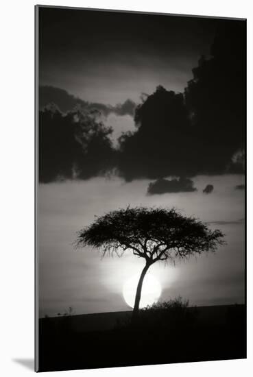 Kenta Sunrise BW-Susann Parker-Mounted Photographic Print